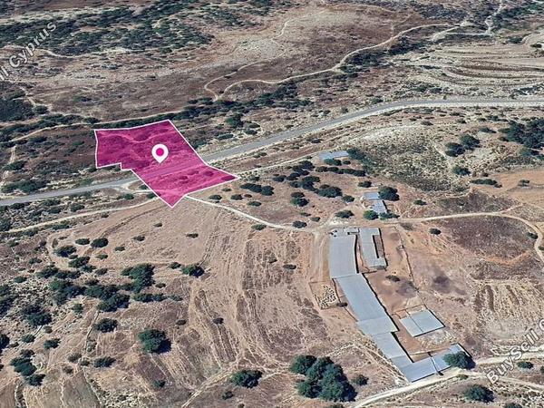 land for sale archimandrita paphos 8396081 image 14901443