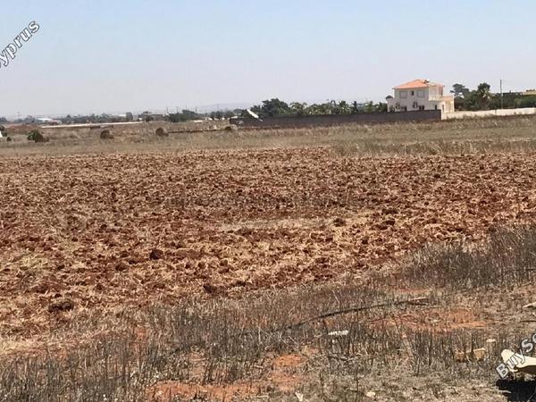 plot for sale avgorou famagusta 7543081 image 9805825