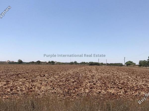 plot for sale avgorou famagusta 7543081 image 9805829