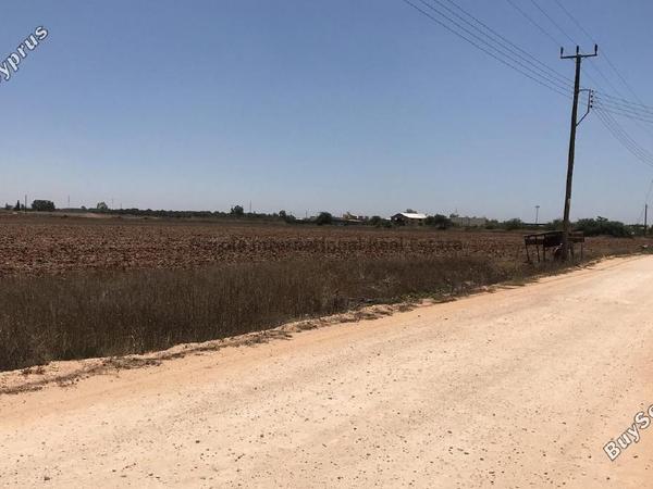 plot for sale avgorou famagusta 7543081 image 9805830