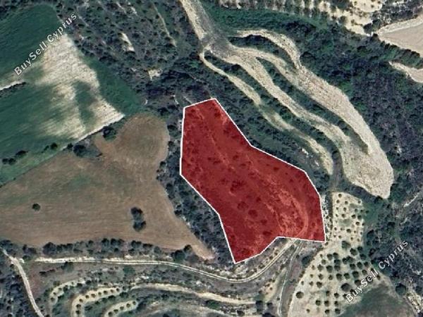 land for sale eledio paphos 8396181 image 16002203