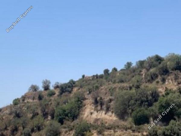 land for sale eledio paphos 8396181 image 16002205