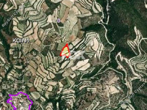 land for sale koili paphos 1161181 image 10031876