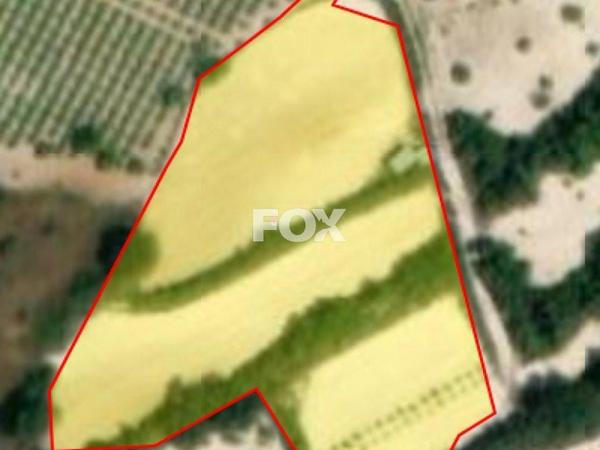 land for sale koili paphos 1161181 image 10031880