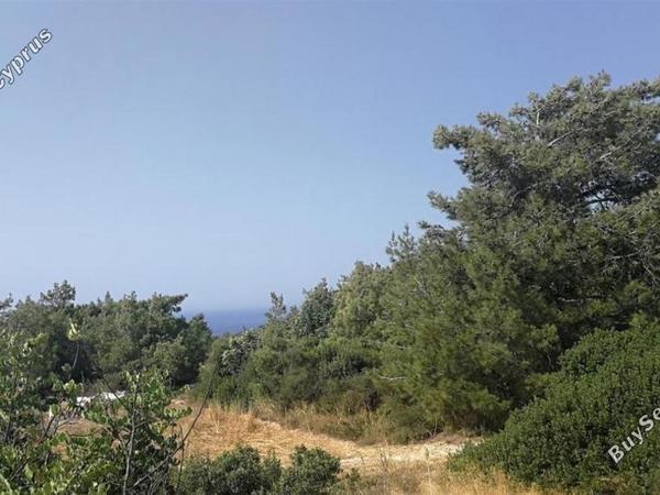 land for sale neo chorio paphos 1898181 image 14213148