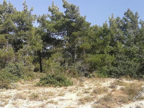 land for sale neo chorio paphos 1898181 image 14213152