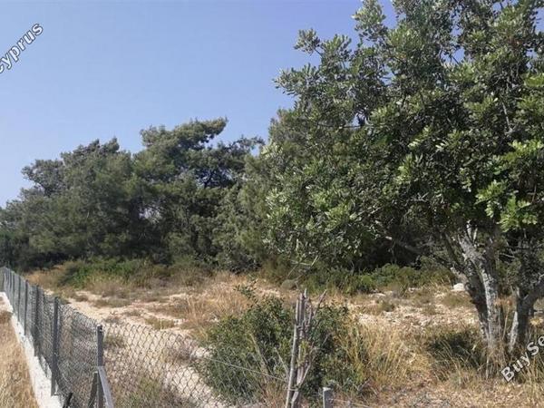 land for sale neo chorio paphos 1898181 image 14213155