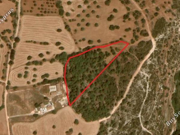 land for sale neo chorio paphos 1898181 image 14213157