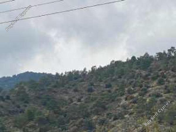 land for sale palaichori morfou nicosia 8716181 image 16294836