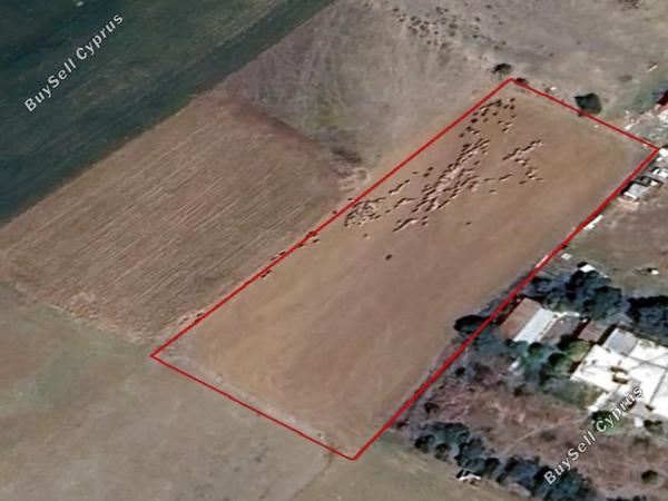 plot for sale agioi trimithias nicosia 7804181 image 16159853
