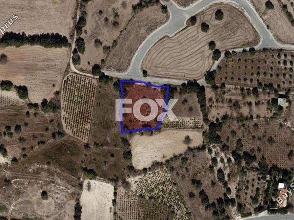 plot for sale lasa paphos 1288181 image 5585735