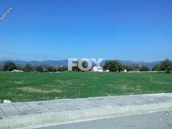 plot for sale lasa paphos 1288181 image 5585738