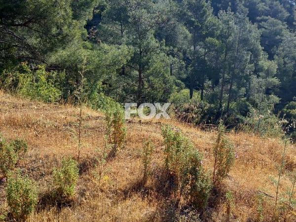 plot for sale moniatis limassol 7452181 image 11146328