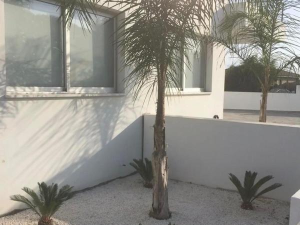 studio apartment for rent makedonitissa nicosia 8495181 image 16336786