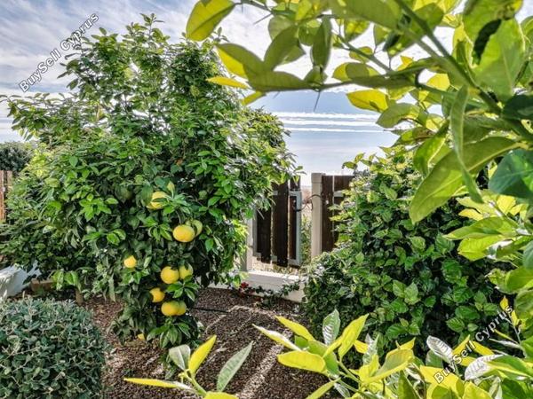 3 bedroom detached house for sale mazotos larnaca 7738281 image 10200738