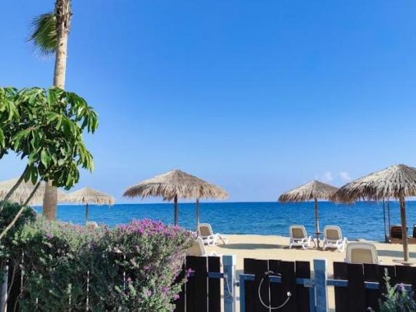 3 bedroom detached house for sale mazotos larnaca 7738281 image 10200739