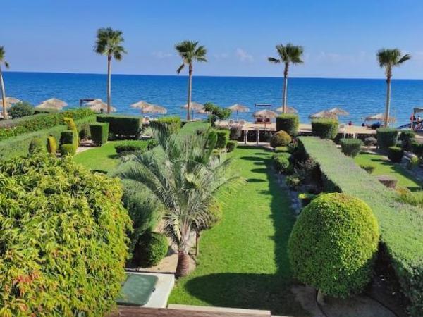 3 bedroom detached house for sale mazotos larnaca 7738281 image 10200741