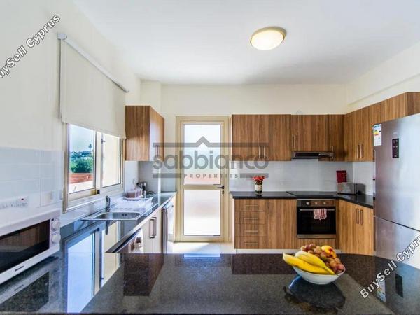 3 bedroom detached house for sale prodromi paphos 8746281 image 16440800