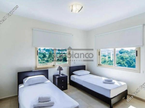 3 bedroom detached house for sale prodromi paphos 8746281 image 17193719