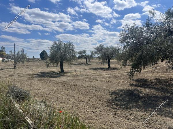 land for sale analiontas nicosia 1755281 image 5537910