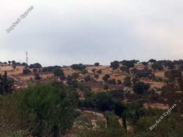 land for sale dora limassol 1336281 image 15598765