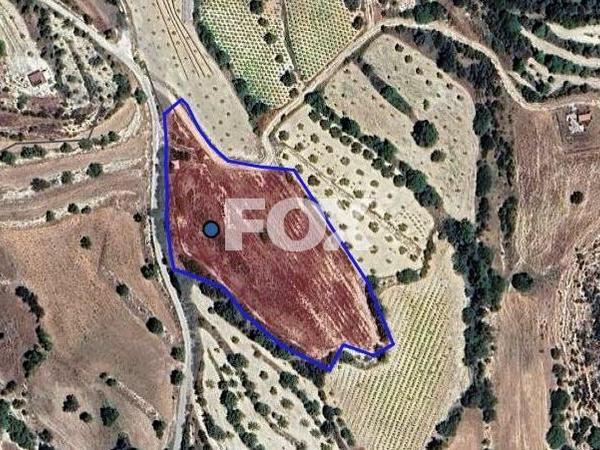 land for sale kallepeia paphos 1535281 image 5635589