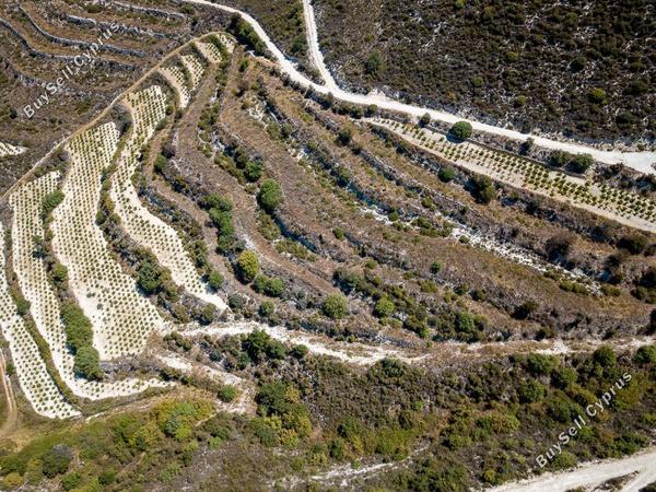 land for sale pachna limassol 1336381 image 15600420