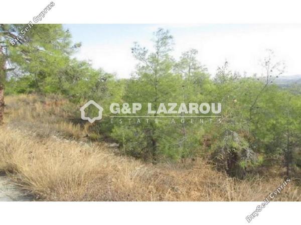 plot for sale kornos larnaca 1685381 image 14104927