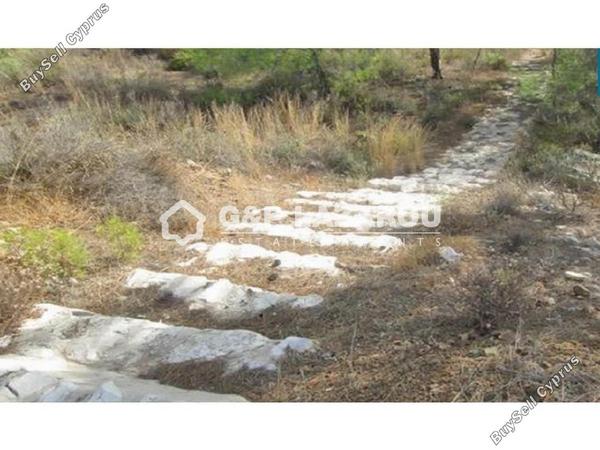 plot for sale kornos larnaca 1685381 image 14104931