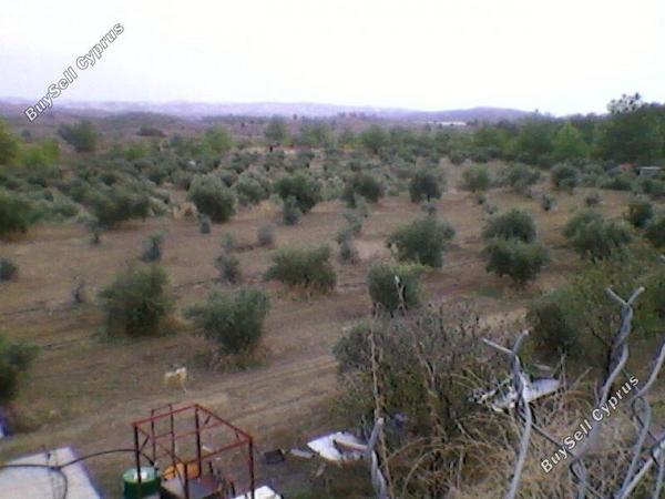 3 bedroom detached house for sale alampra nicosia 1069481 image 16162321