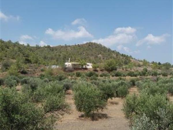 3 bedroom detached house for sale alampra nicosia 1069481 image 16162328