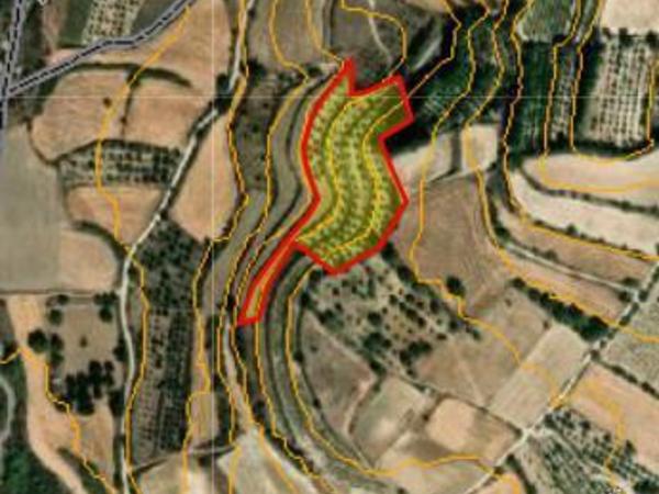 land for sale lemona paphos 8972481 image 17893813