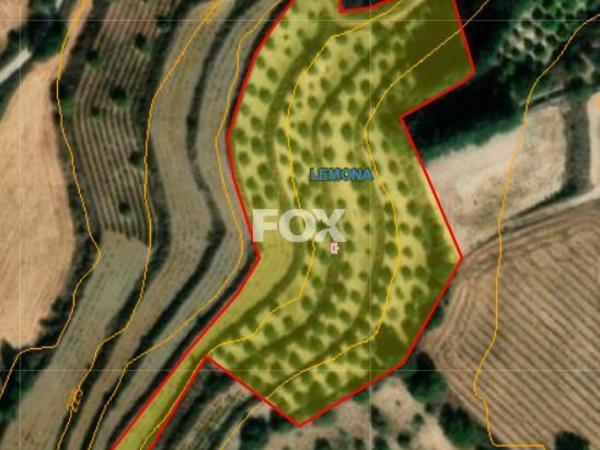 land for sale lemona paphos 8972481 image 17893815