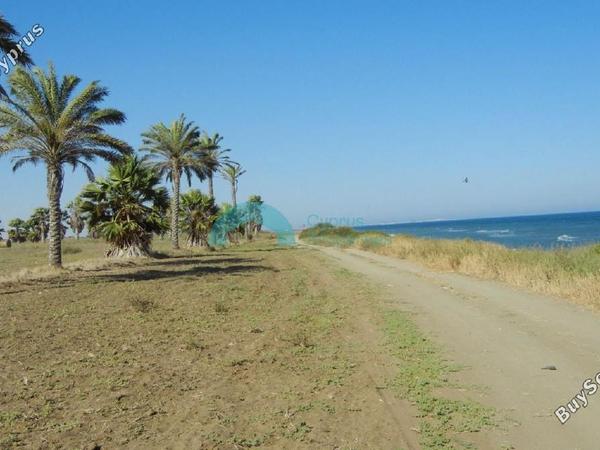 land for sale mazotos larnaca 841481 image 6535316
