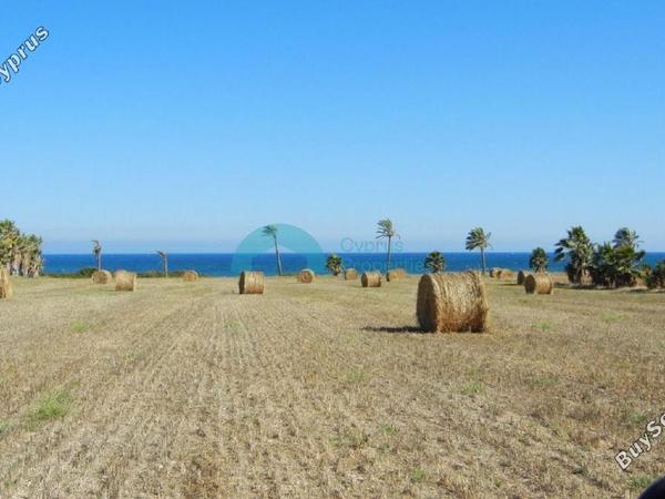 land for sale mazotos larnaca 841481 image 6535318