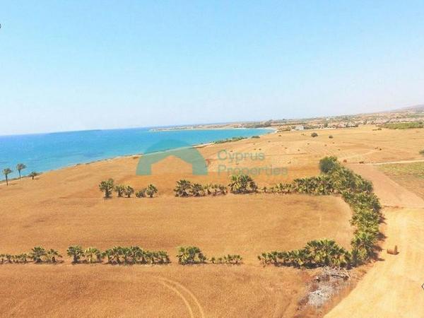 land for sale mazotos larnaca 841481 image 6535326