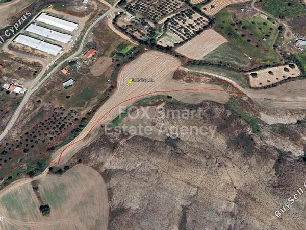 land for sale psevdas larnaca 1150481 image 5750370