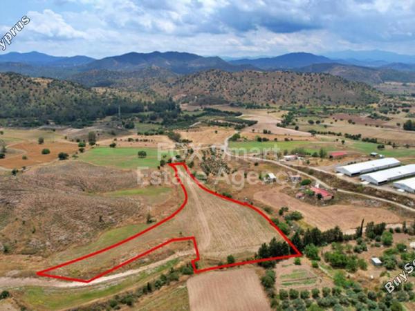 land for sale psevdas larnaca 1150481 image 5750406