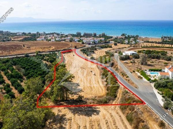 plot off market argaka paphos 1444481 image 9682879