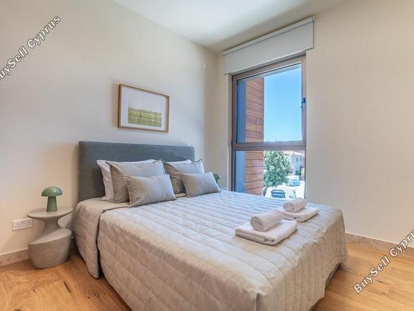 3 bedroom semi detached house for rent emba paphos 8791581 image 16679709