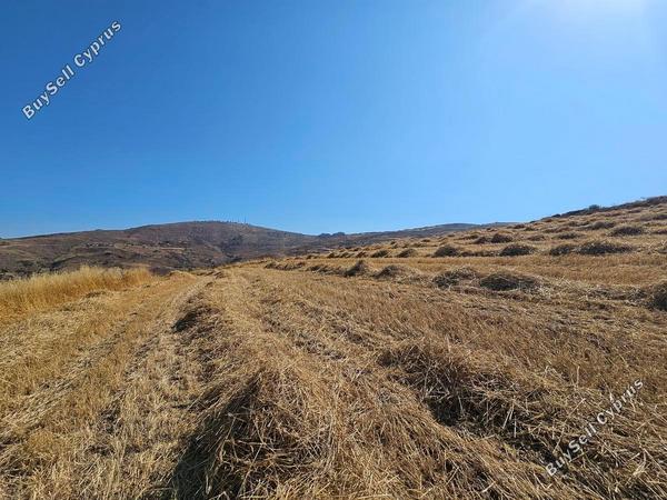 land for sale ineia paphos 1869581 image 6906756