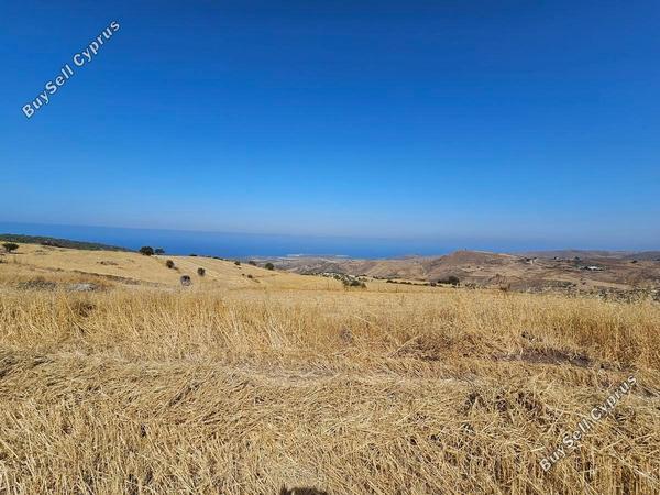 land for sale ineia paphos 1869581 image 6906757