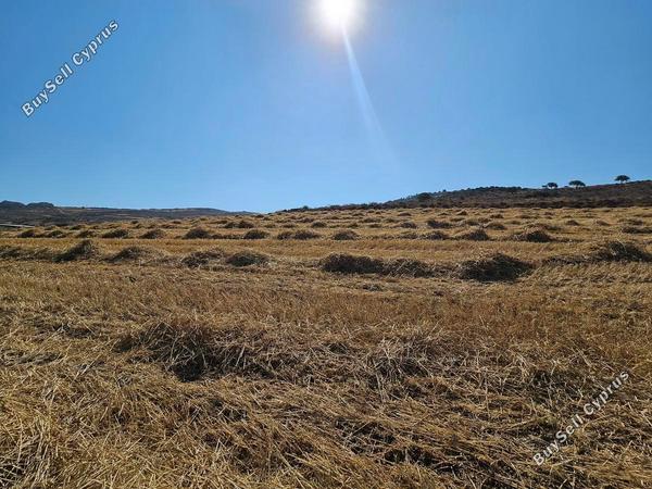 land for sale ineia paphos 1869581 image 6906758