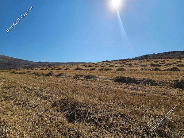 land for sale ineia paphos 1869581 image 6906759
