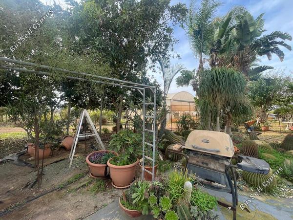 3 bedroom bungalow for sale ormideia larnaca 8087681 image 13143762