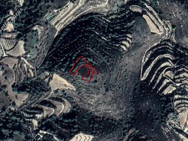 land for sale koili paphos 8630681 image 16615653