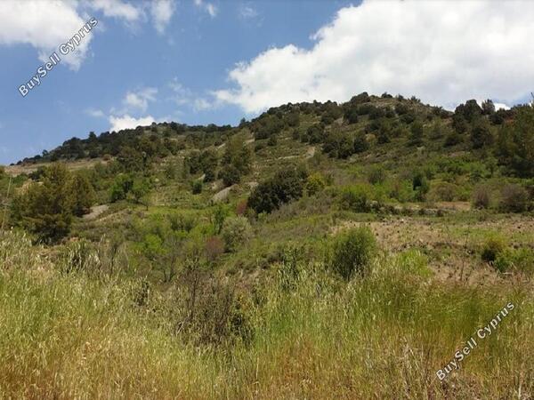land for sale palaichori morfou nicosia 961681 image 878431
