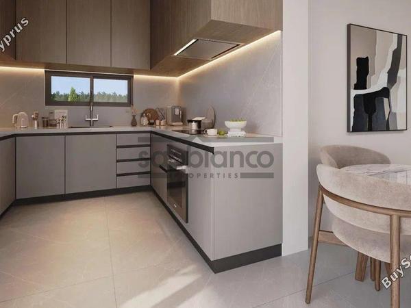 2 bedroom apartment for sale alethriko larnaca 8740781 image 16385939