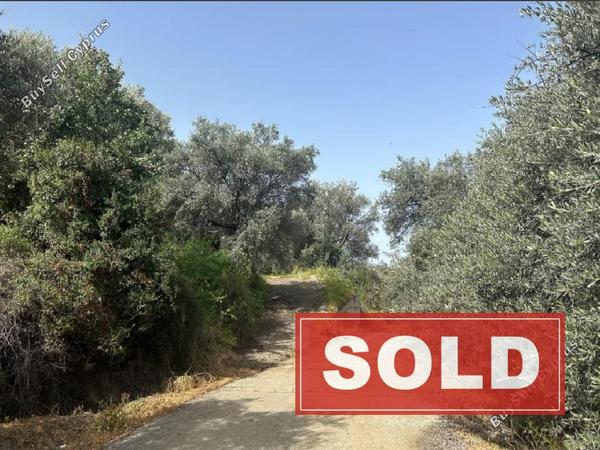 land sold linou nicosia 1810781 image 6229132