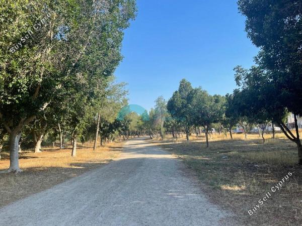 plot for sale lakatamia nicosia 931781 image 5417469